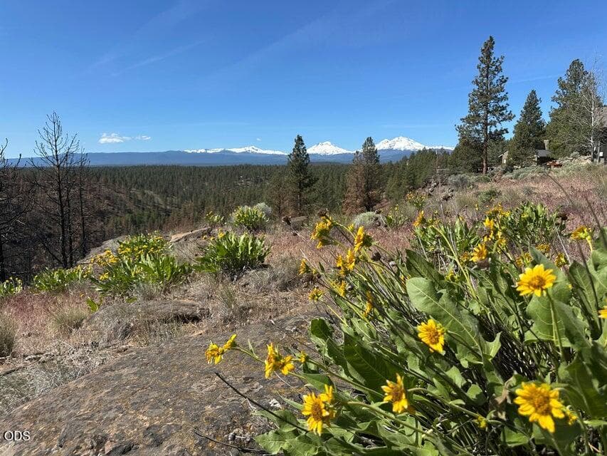 Photo of 17127 Mountain View Road 13 of 20