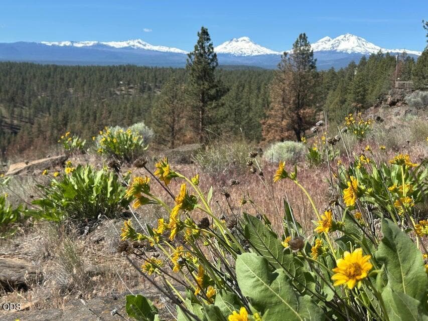 Photo of 17127 Mountain View Road 14 of 20
