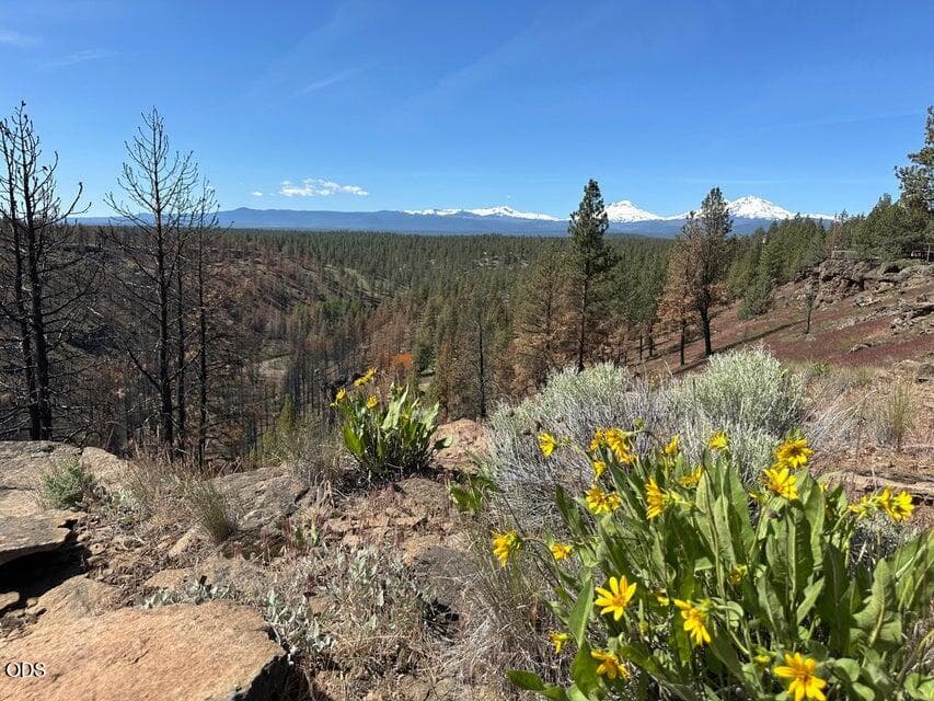 Photo of 17127 Mountain View Road 15 of 20