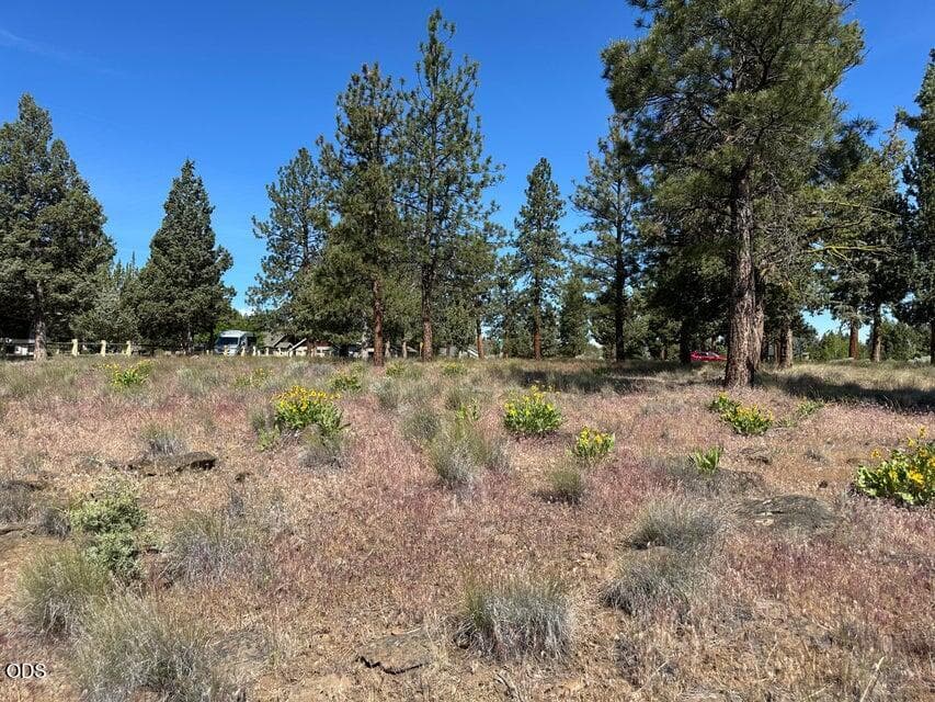 Photo of 17127 Mountain View Road 16 of 20