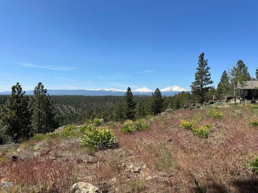 Photo of 17127 Mountain View Road 17 of 20