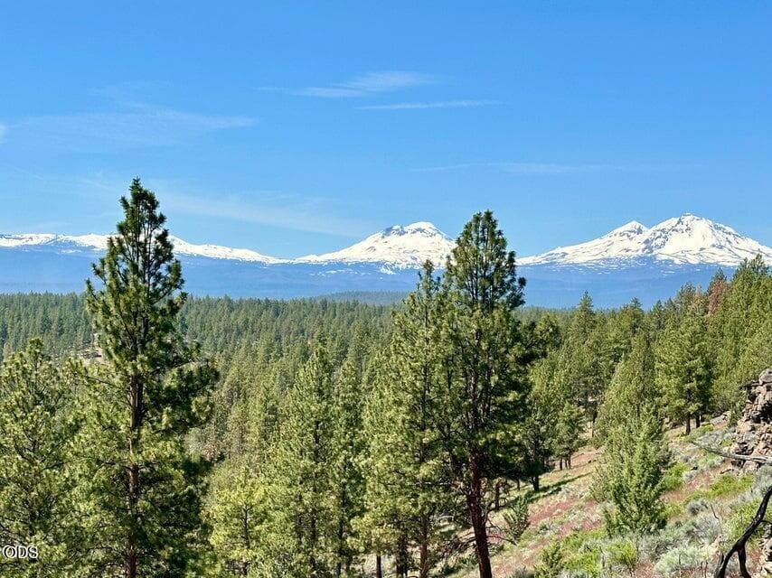 Photo of 17127 Mountain View Road 18 of 20