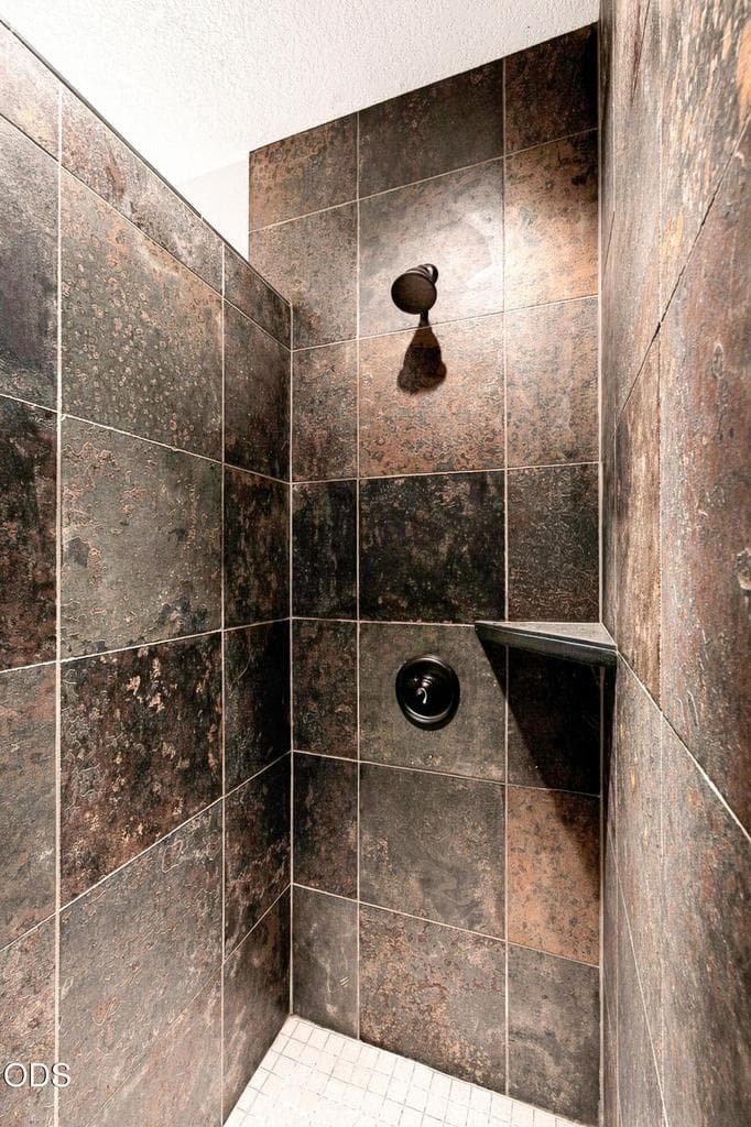 Walk in Shower Guest Bath