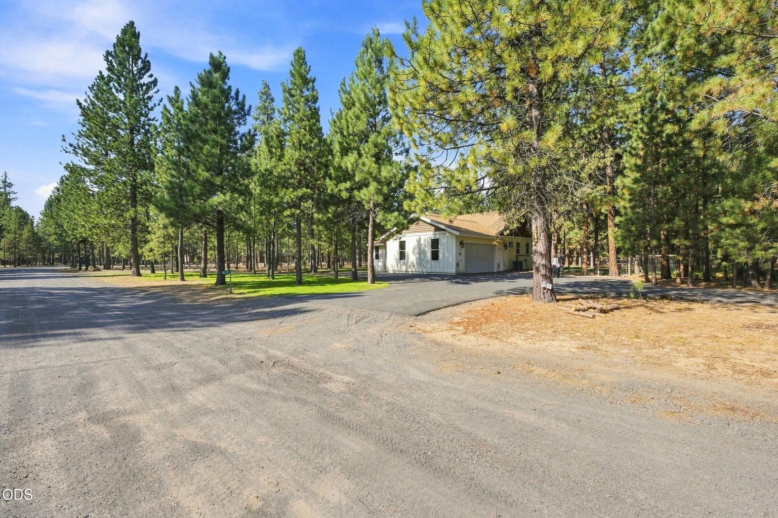 Photo of 52073 White Fir 46 of 64