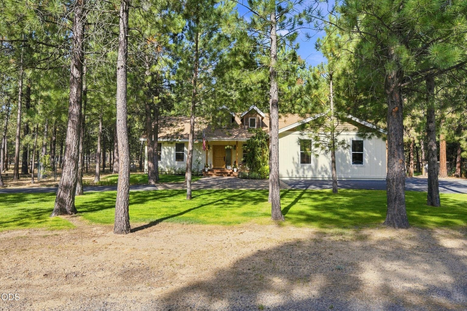 Photo of 52073 White Fir 47 of 64