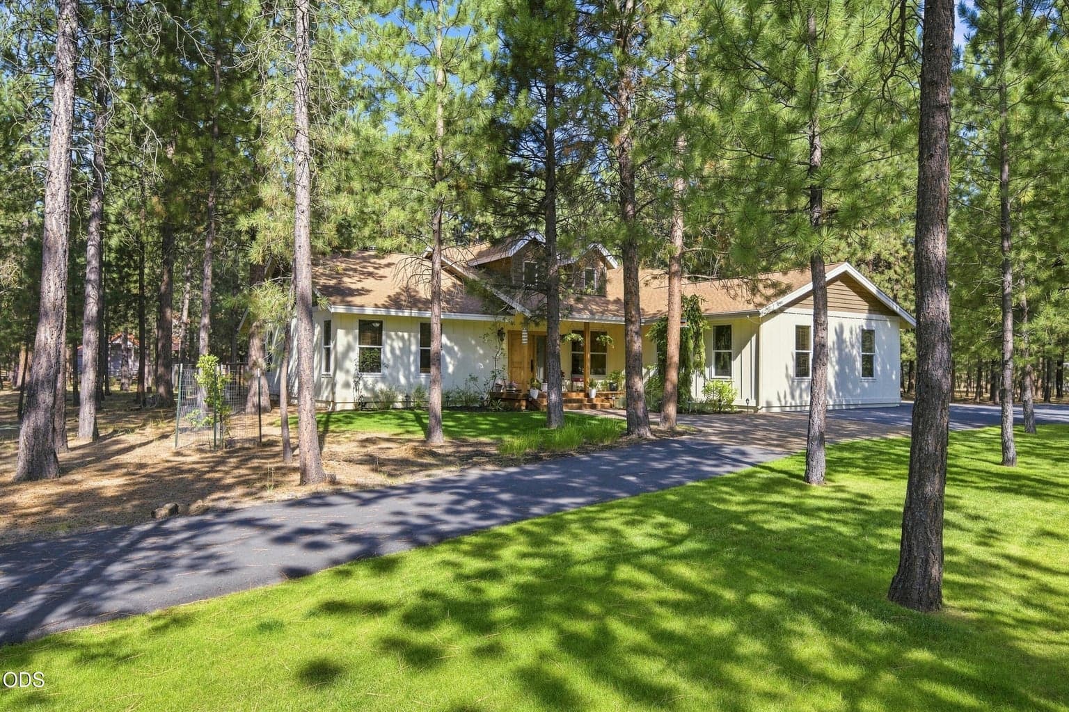 Photo of 52073 White Fir 48 of 64
