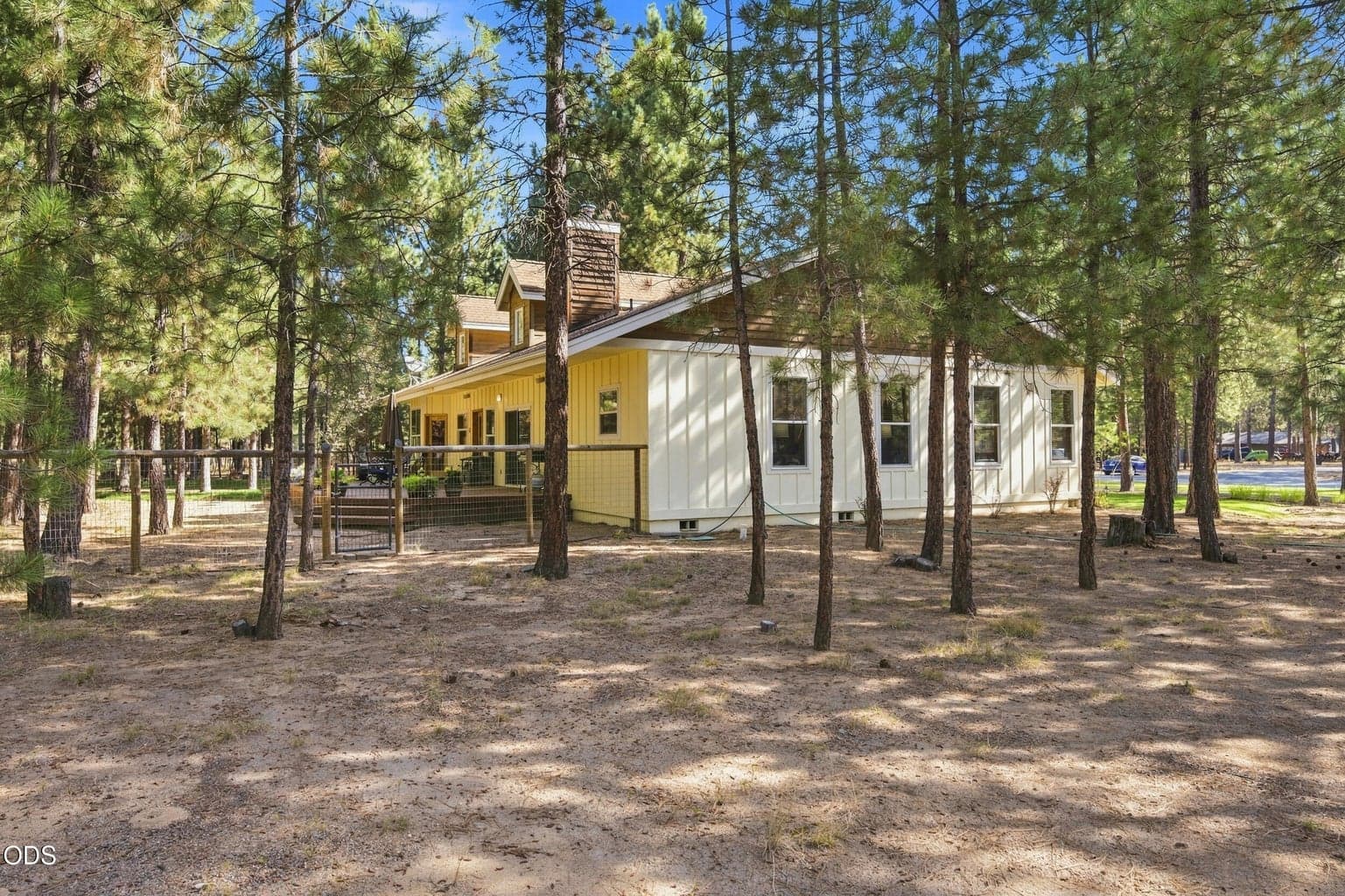 Photo of 52073 White Fir 50 of 64