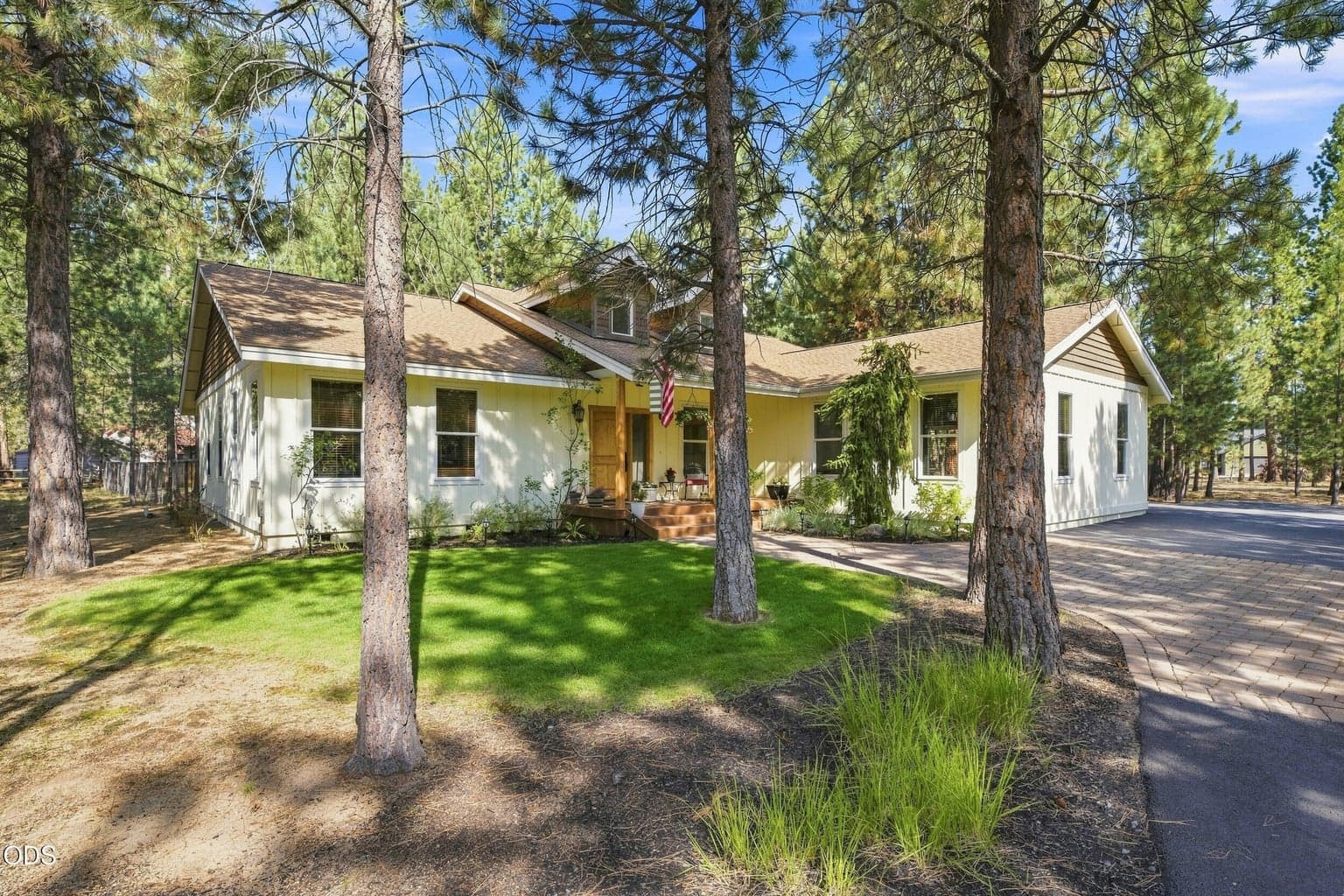 Photo of 52073 White Fir 51 of 64