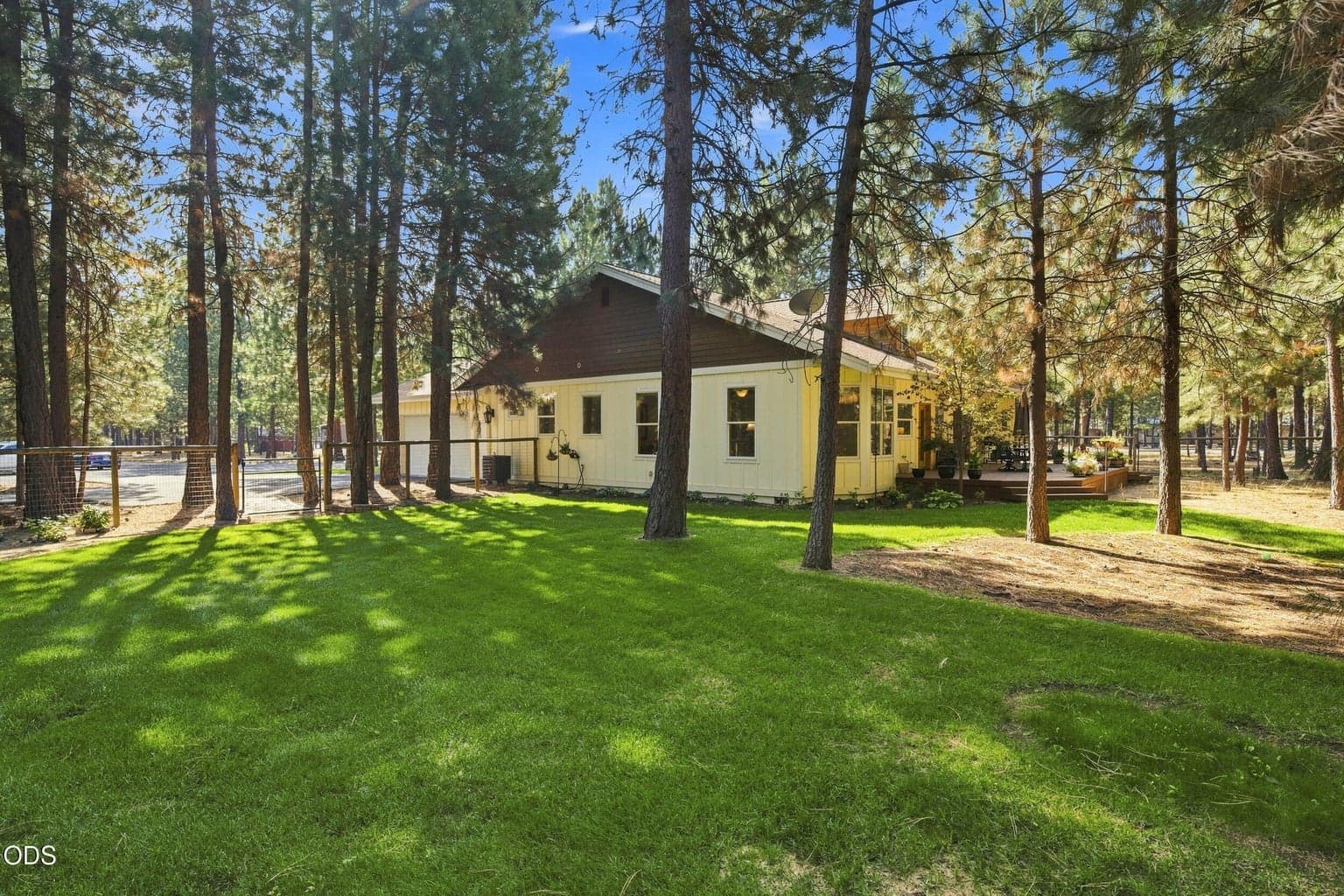 Photo of 52073 White Fir 52 of 64