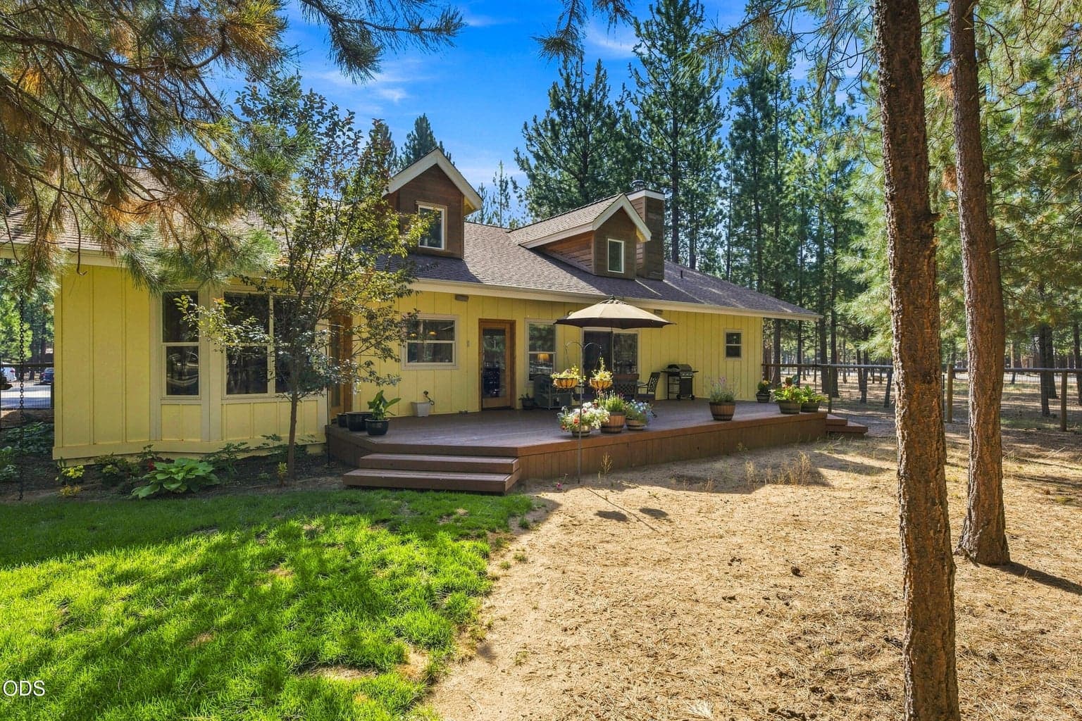 Photo of 52073 White Fir 54 of 64