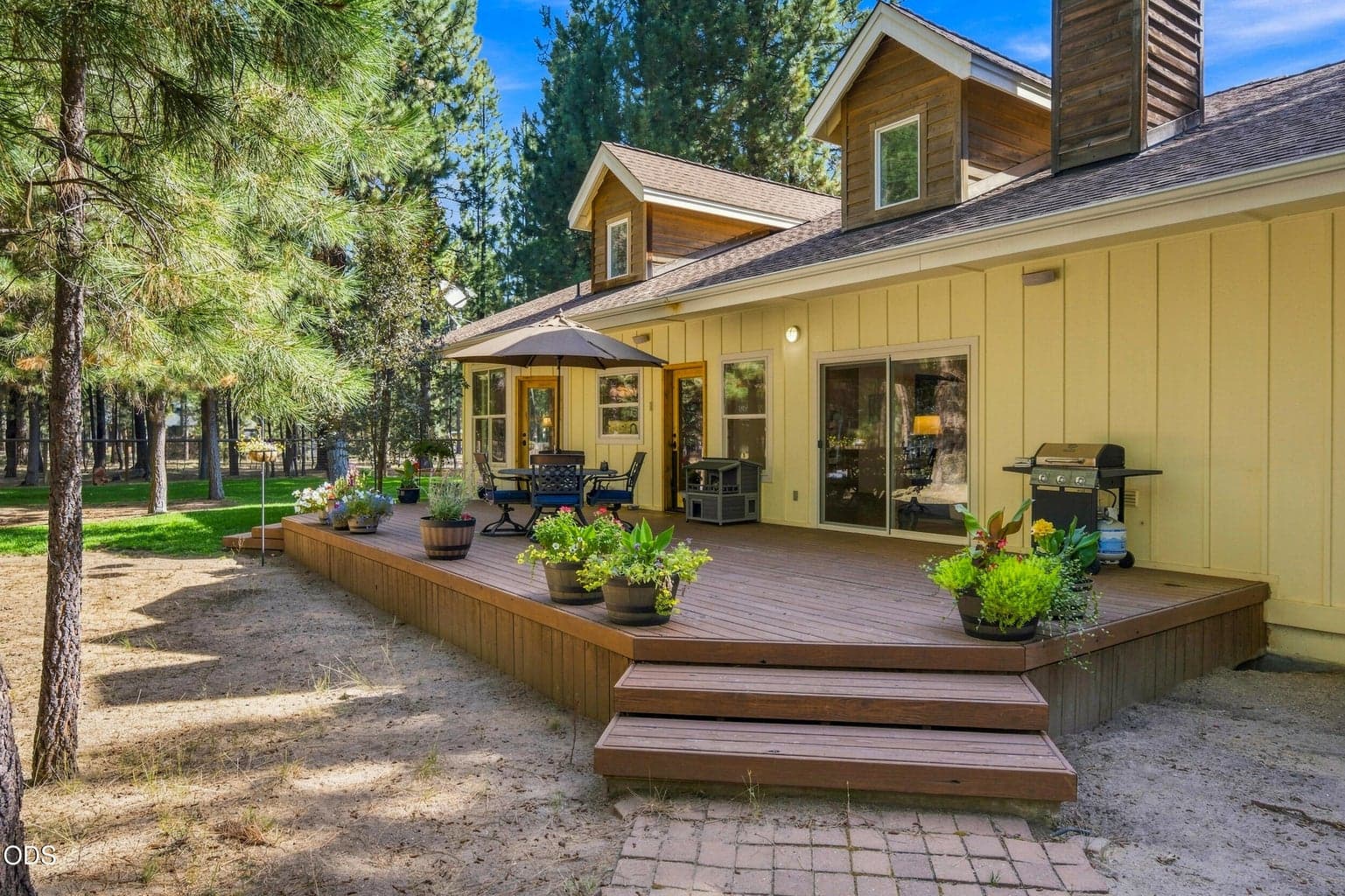 Photo of 52073 White Fir 55 of 64