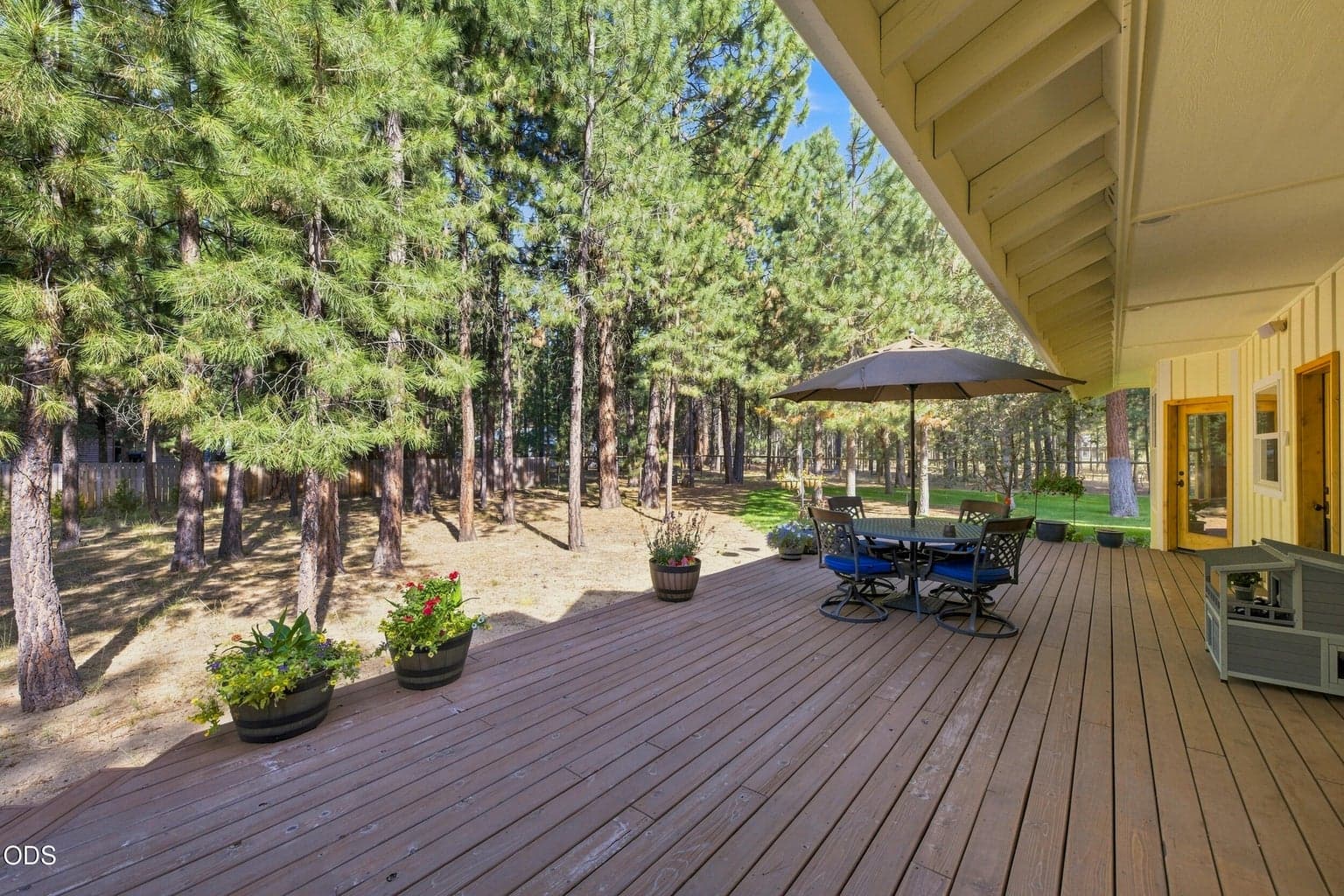 Photo of 52073 White Fir 56 of 64