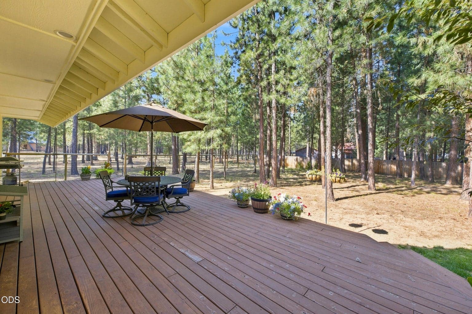 Photo of 52073 White Fir 57 of 64