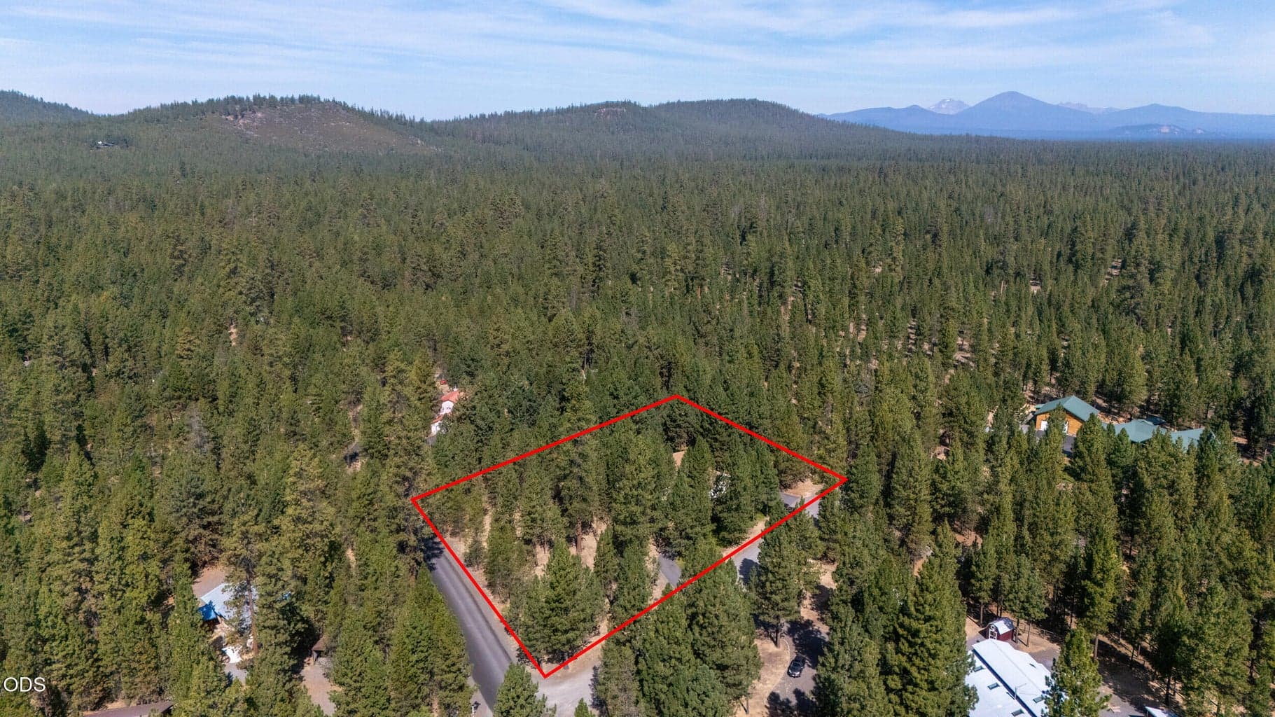 Photo of 52073 White Fir 58 of 64