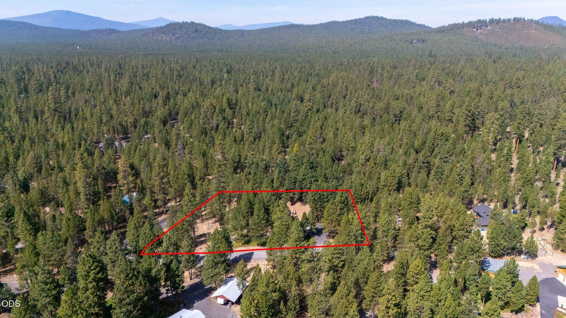 Photo of 52073 White Fir 59 of 64