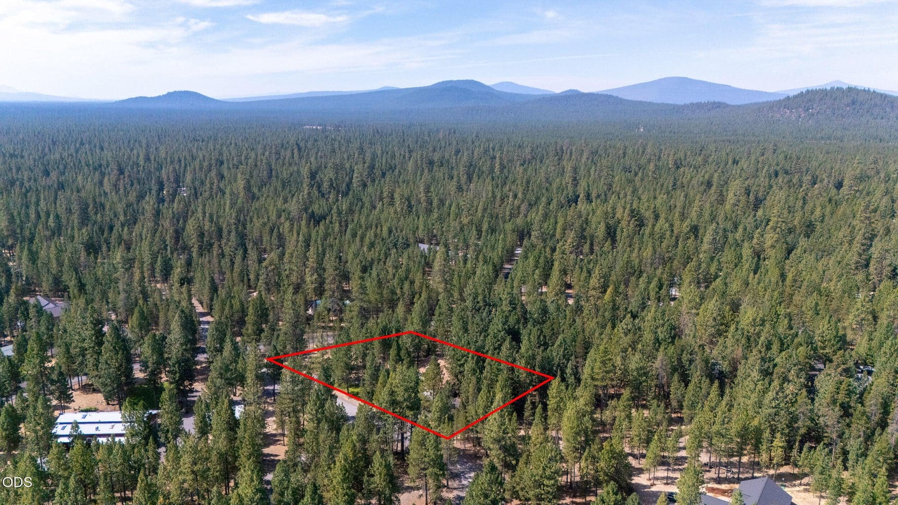 Photo of 52073 White Fir 60 of 64