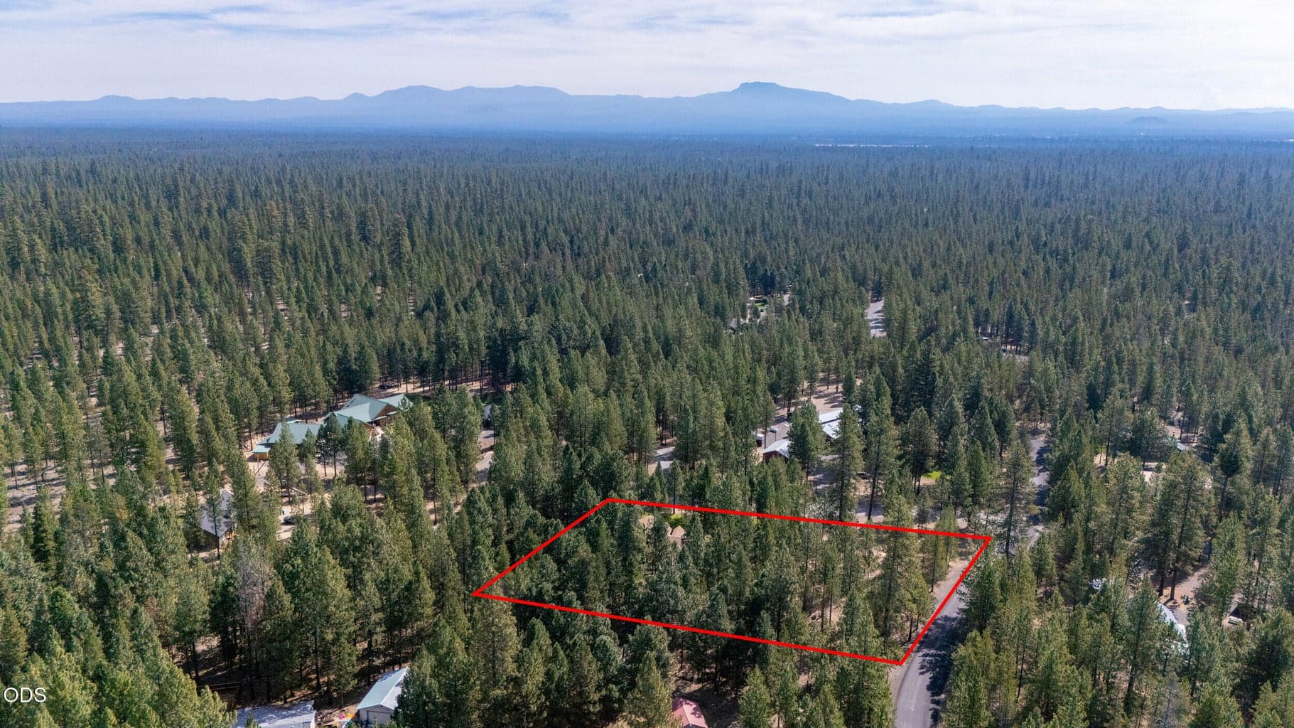 Photo of 52073 White Fir 61 of 64