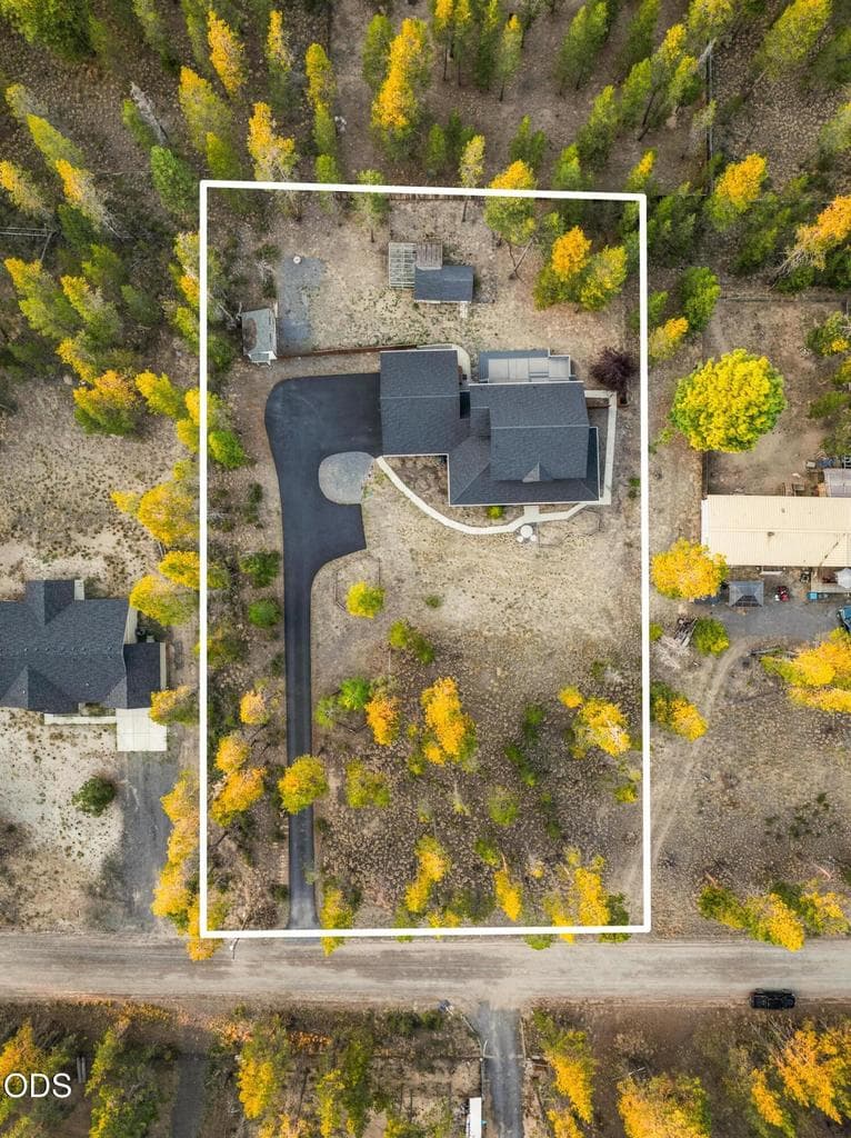 Easy maintenance lot with paved driveway and lovely pine trees