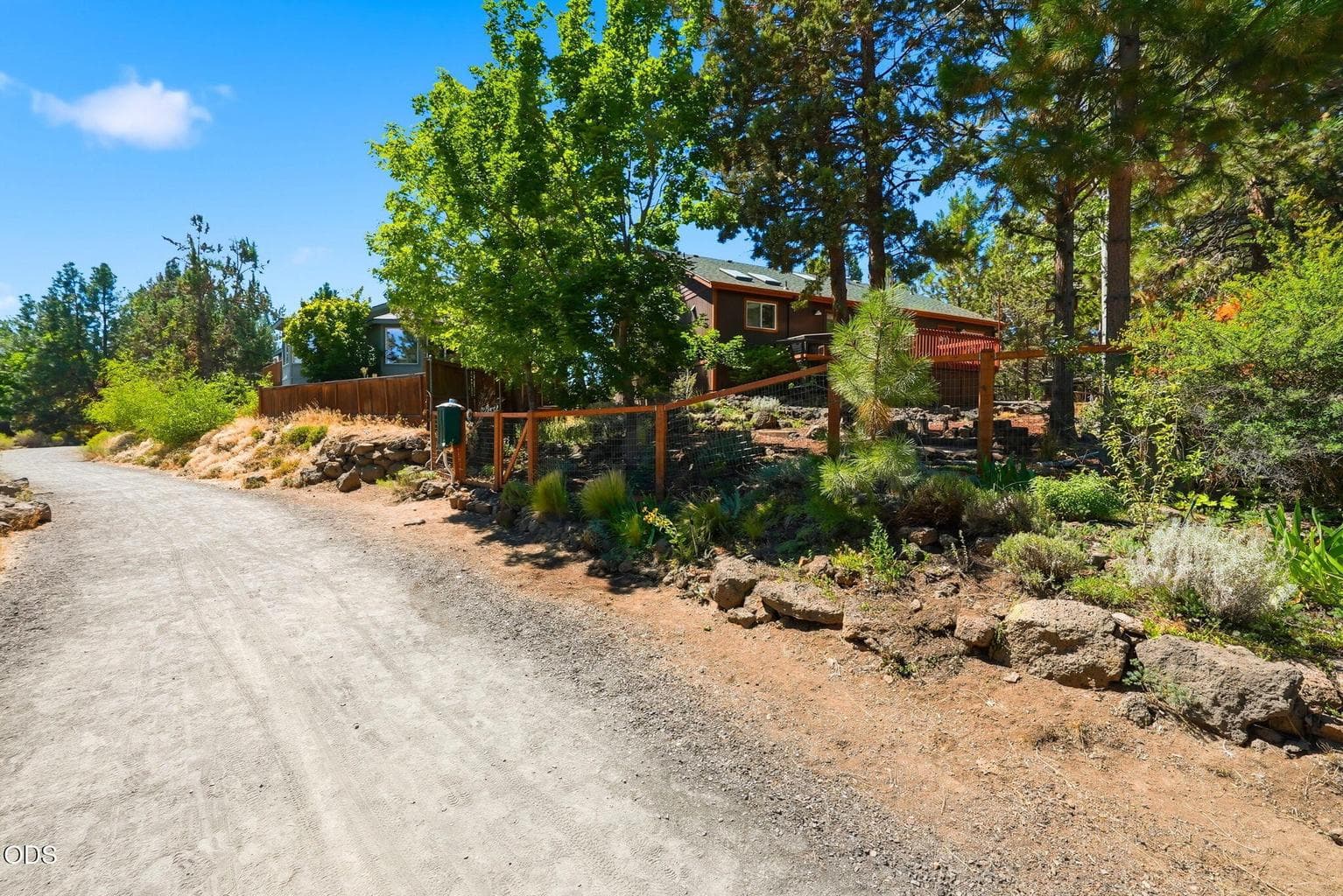 Larkspur trail
