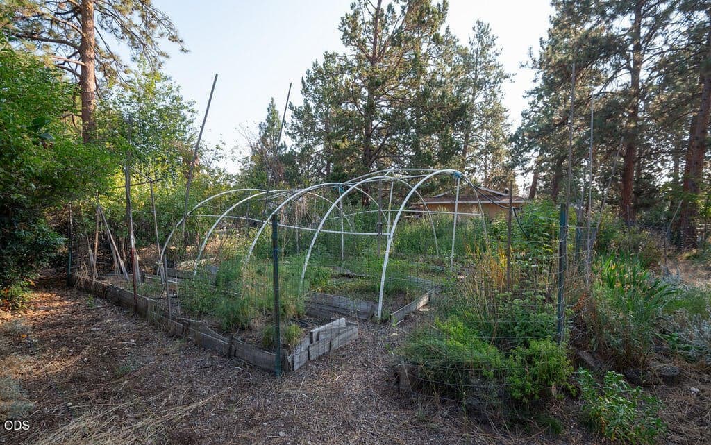 Irrigated garden beds