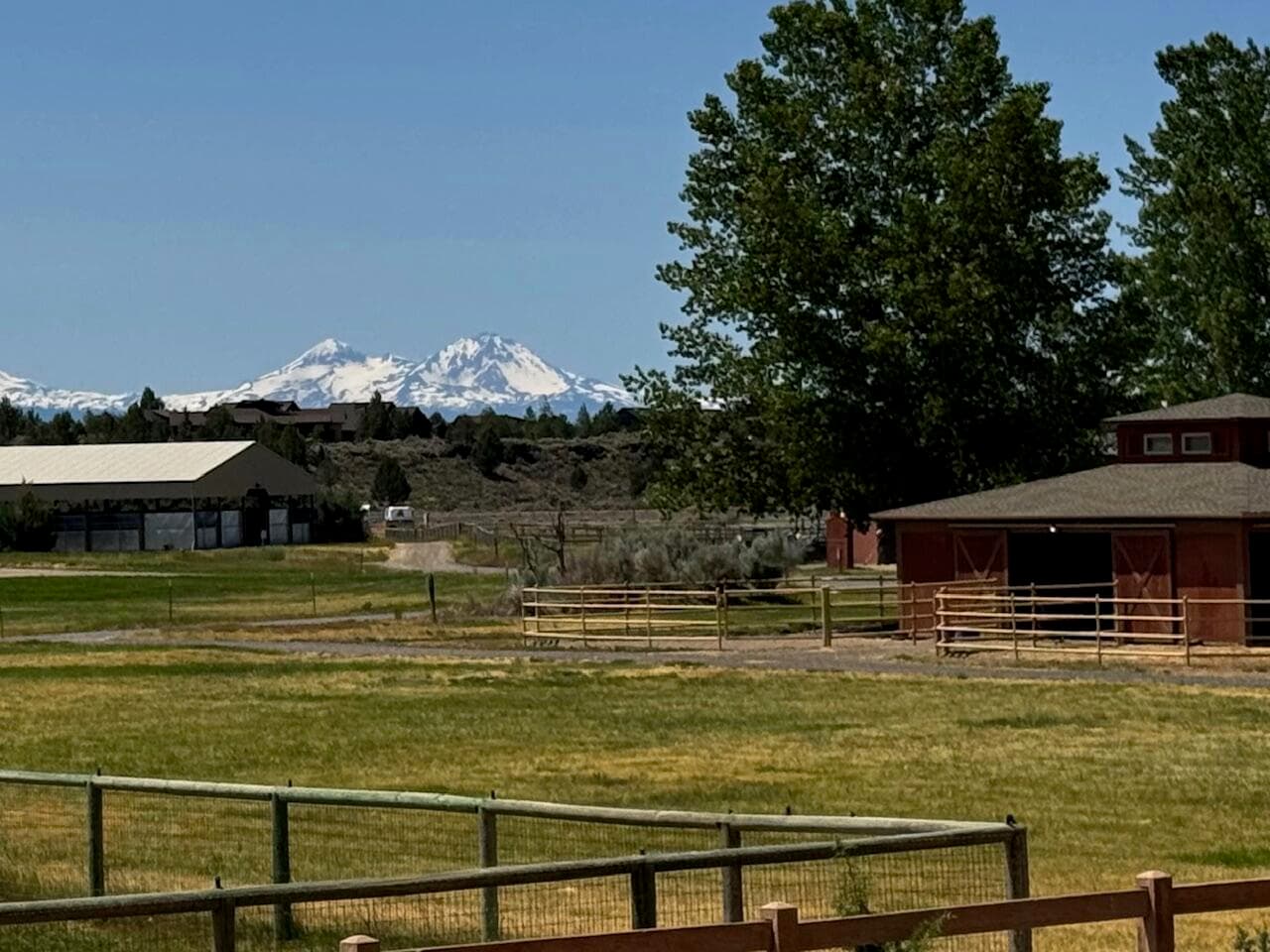 Groom your horse with this view