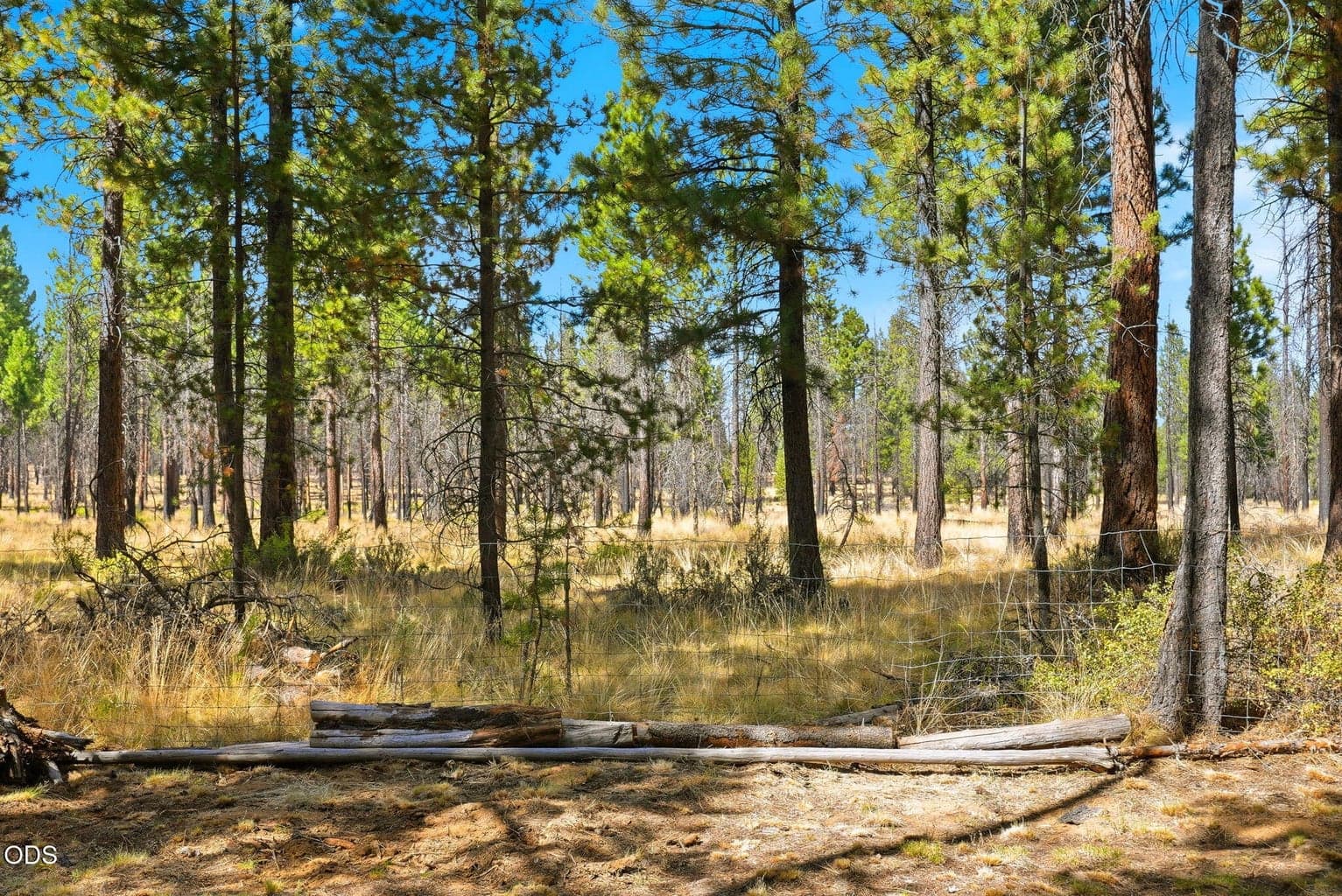 Photo of 16970 Quartz Road 34 of 44