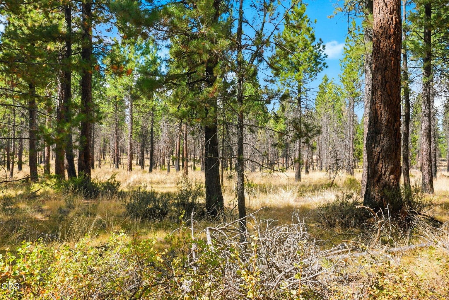 Photo of 16970 Quartz Road 35 of 44