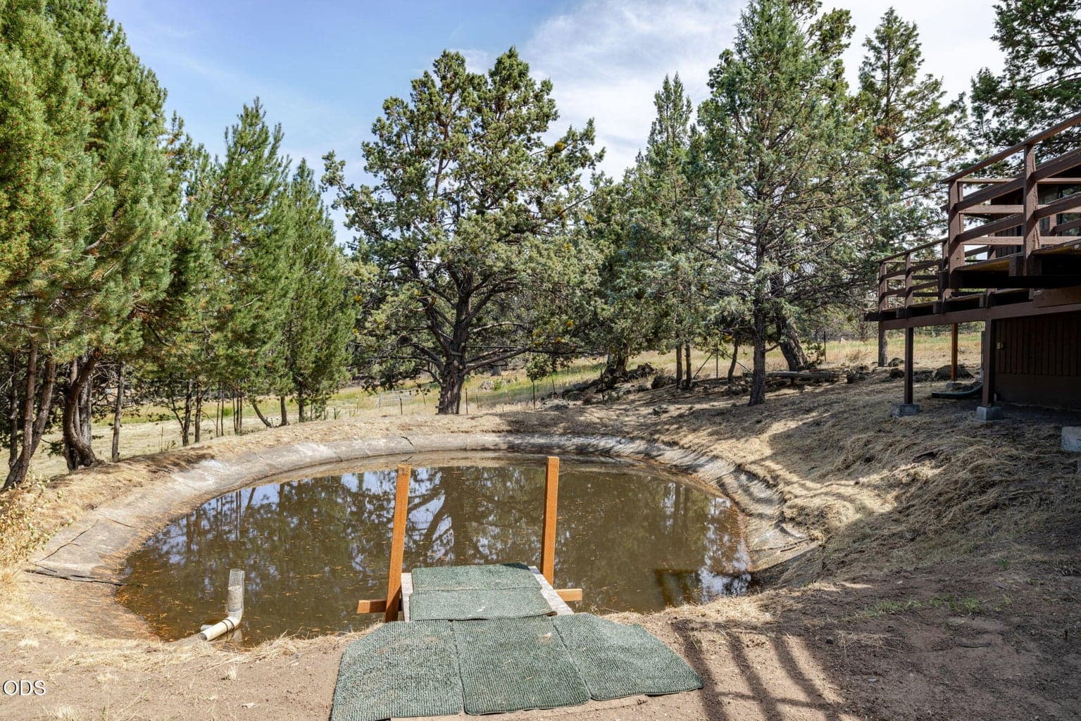 Pond