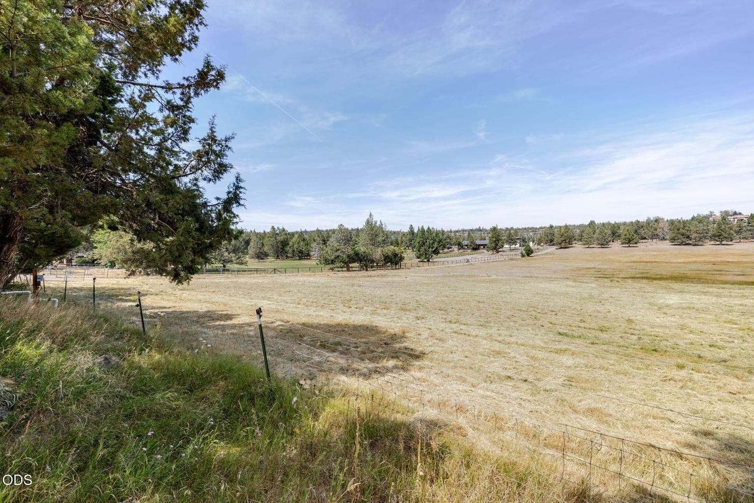 Pasture