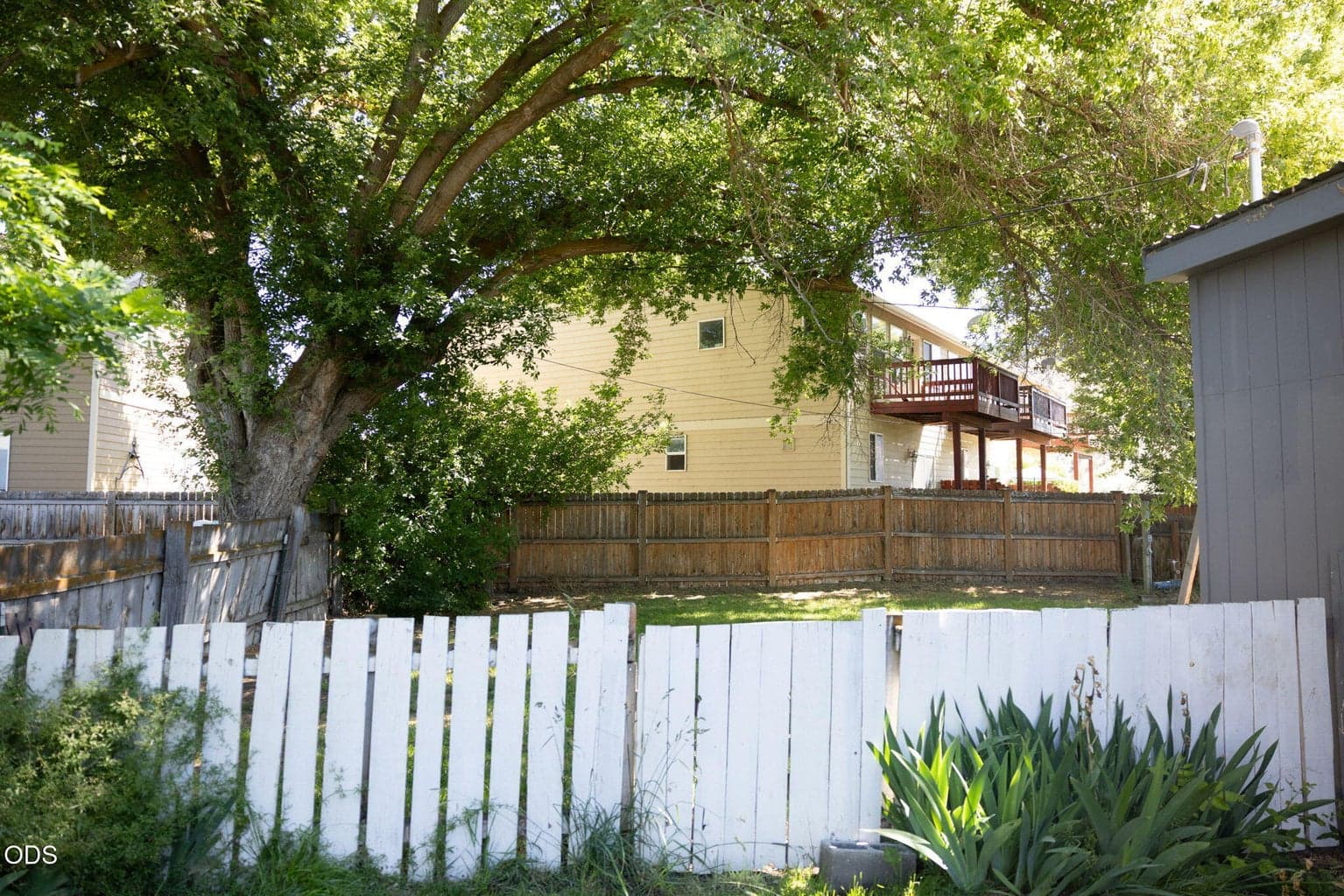 Fenced yard for 719