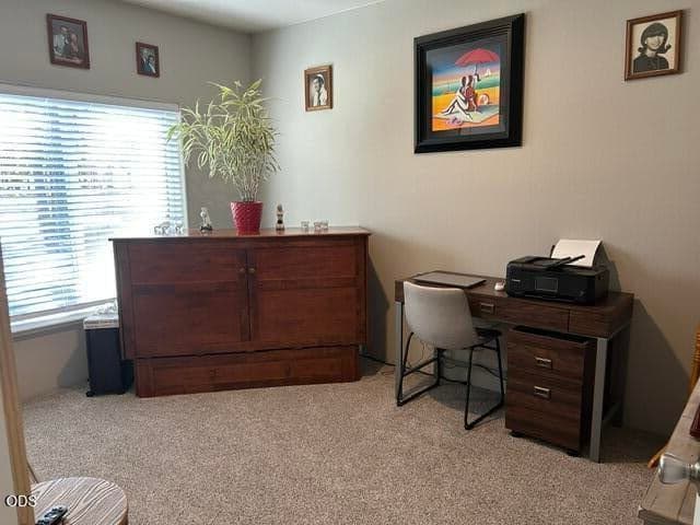 Photo of 1671 Hackett Drive 42 of 64