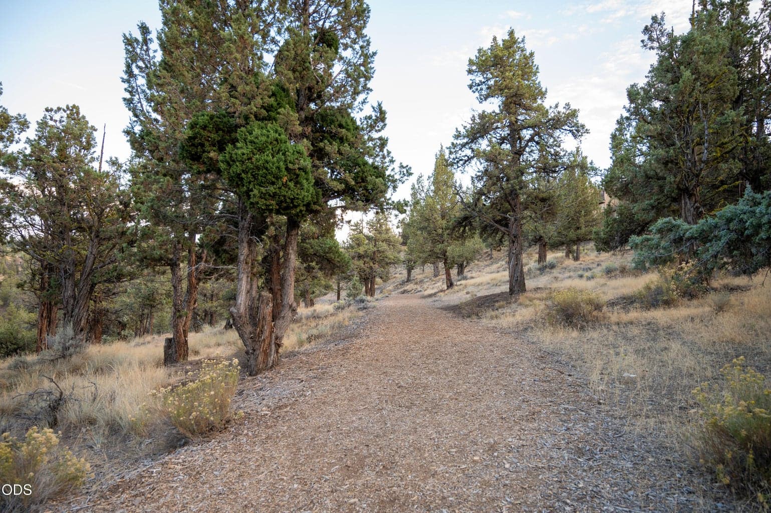 Photo of 910 SW Cline Falls Road 59 of 65