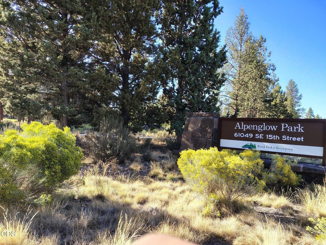 Across the street: Alpenglow Park!