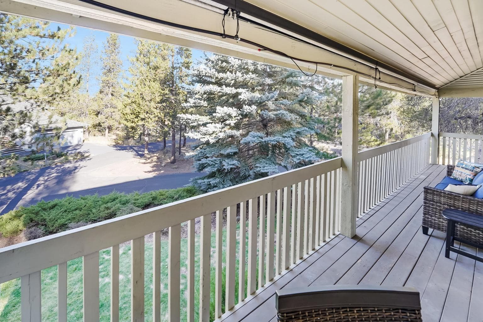 Upper Deck overlooking Forest