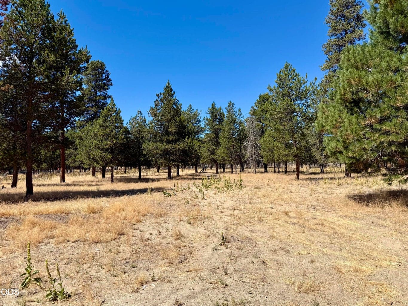 Photo of 9004 Split Rail Road 34 of 35