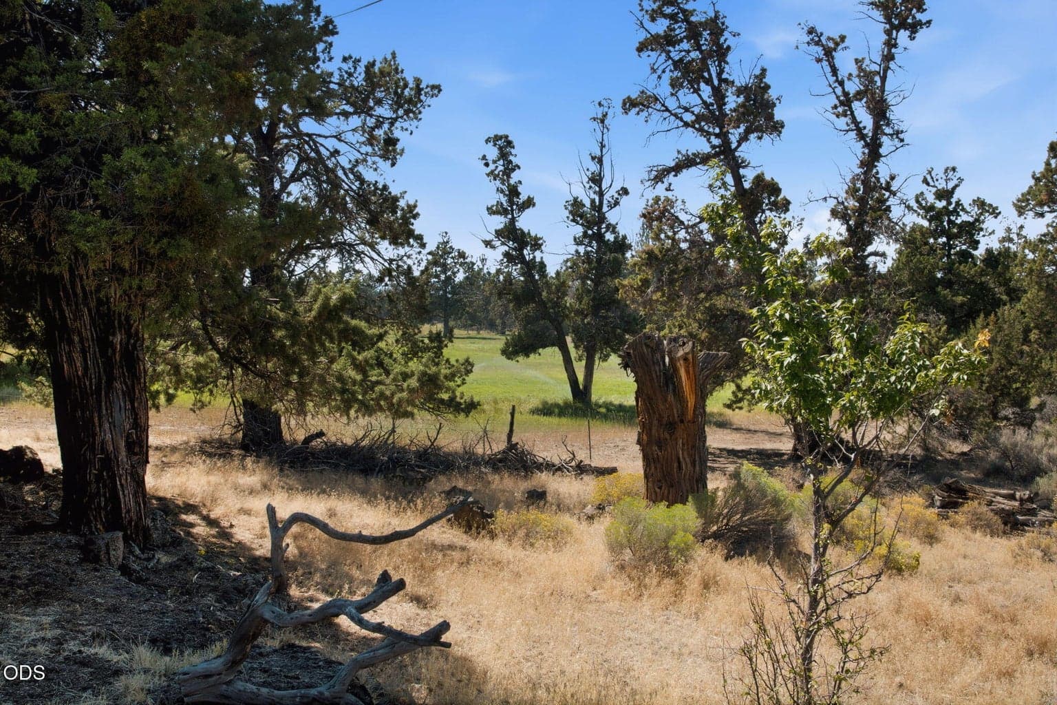 Photo of 63379 Hamehook Road 23 of 26