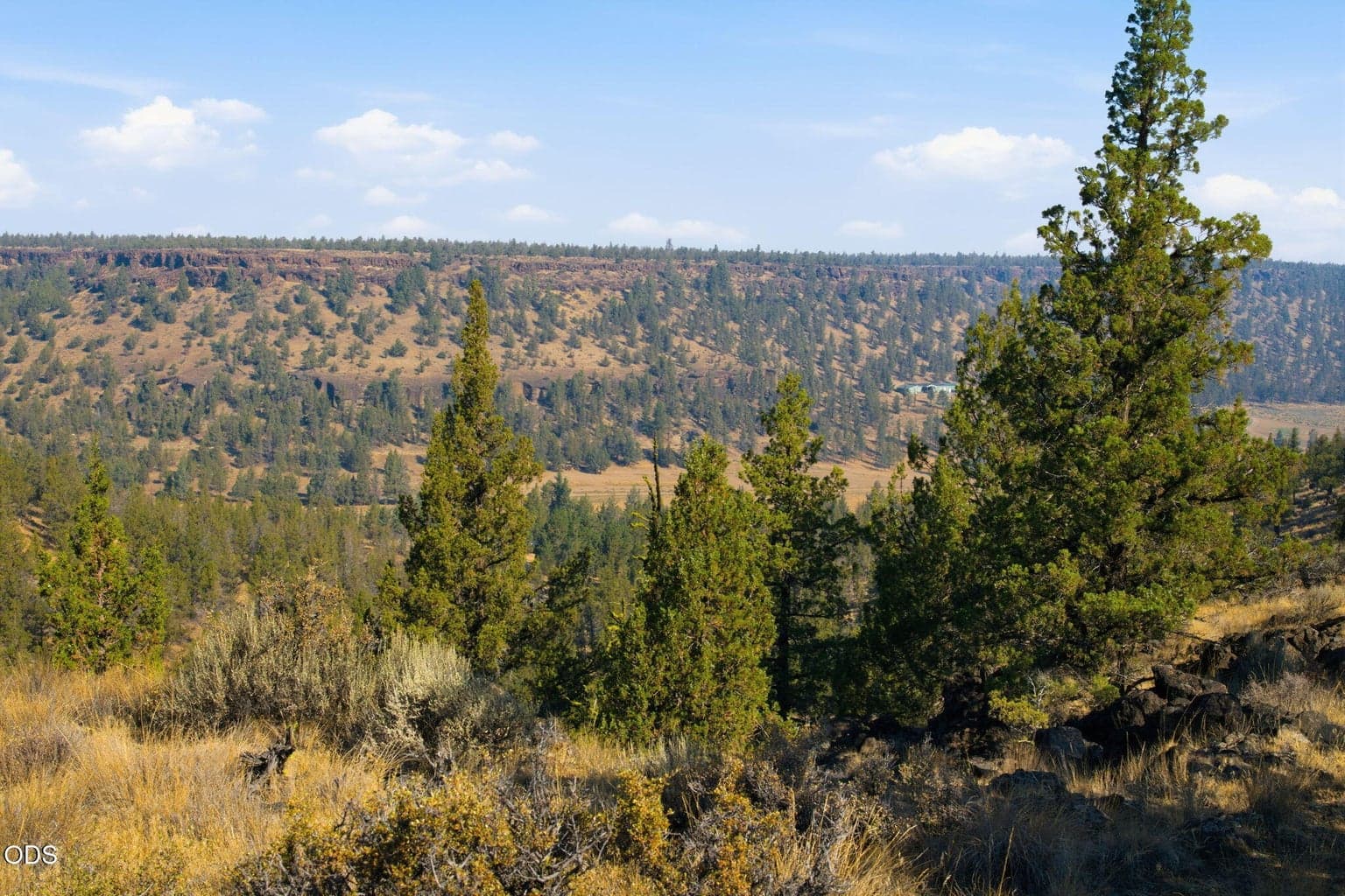 Photo of 70110 McKenzie Canyon Road 5 of 23