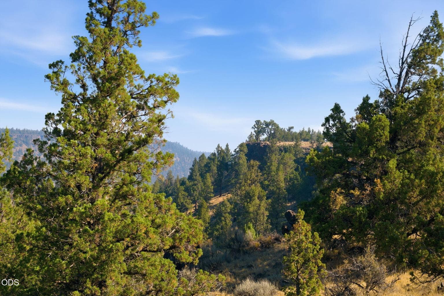Photo of 70110 McKenzie Canyon Road 3 of 23