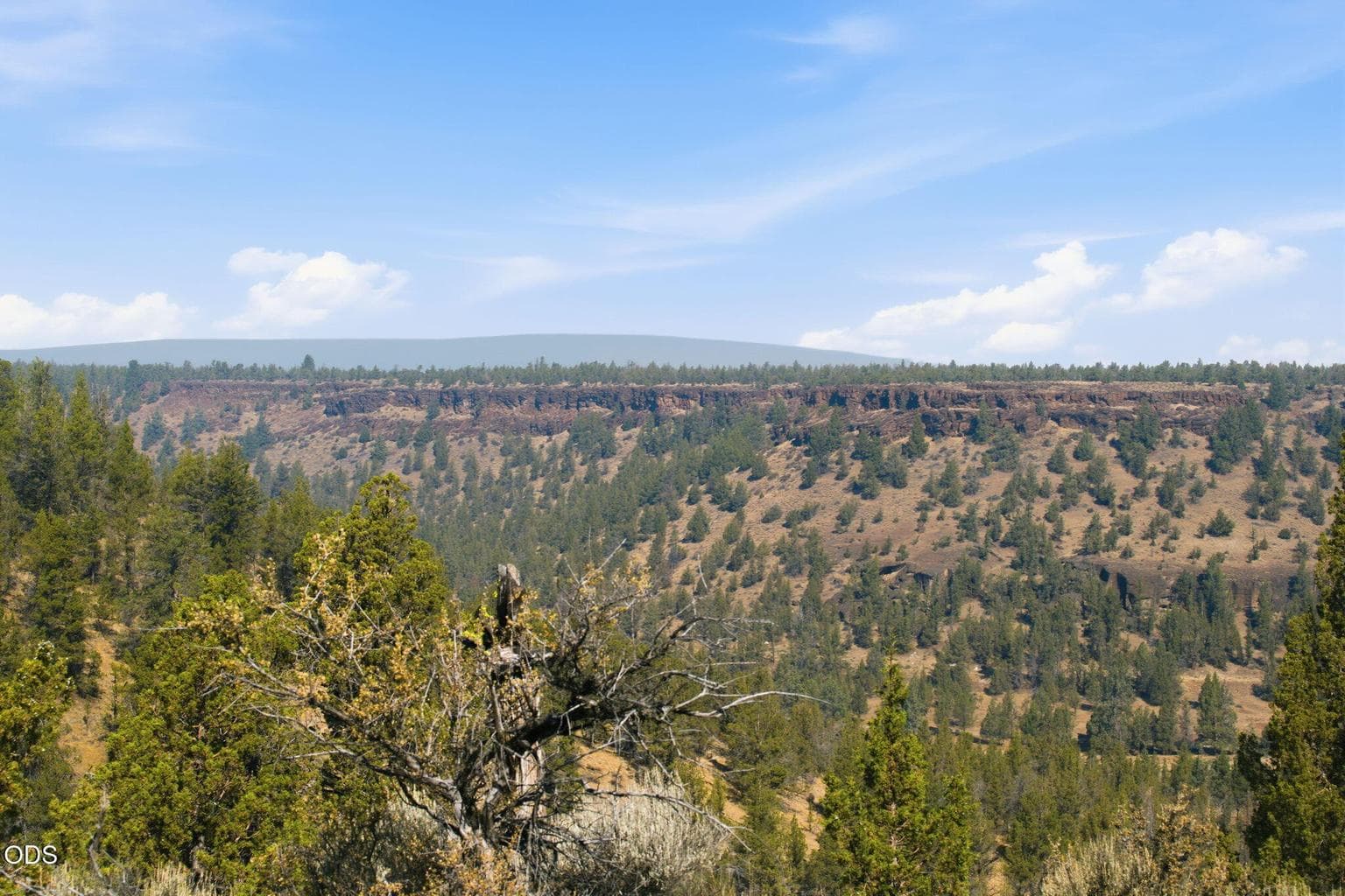 Photo of 70110 McKenzie Canyon Road 17 of 23
