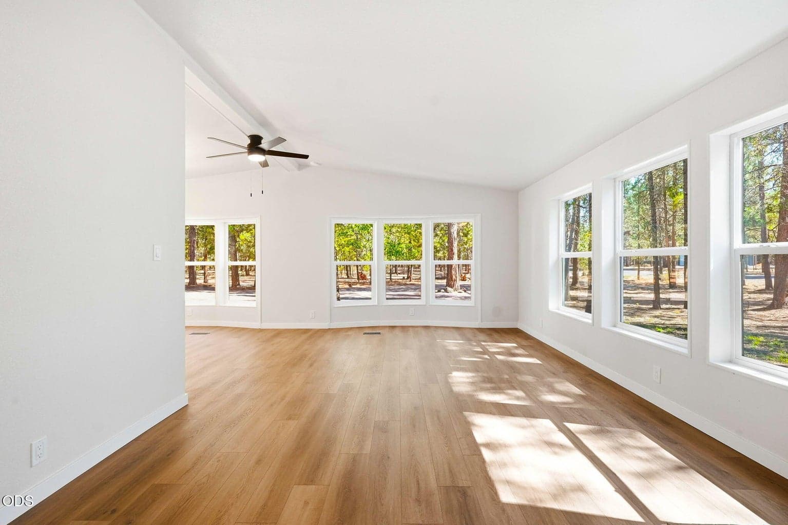 Photo of 50858 Fawn Loop 11 of 42