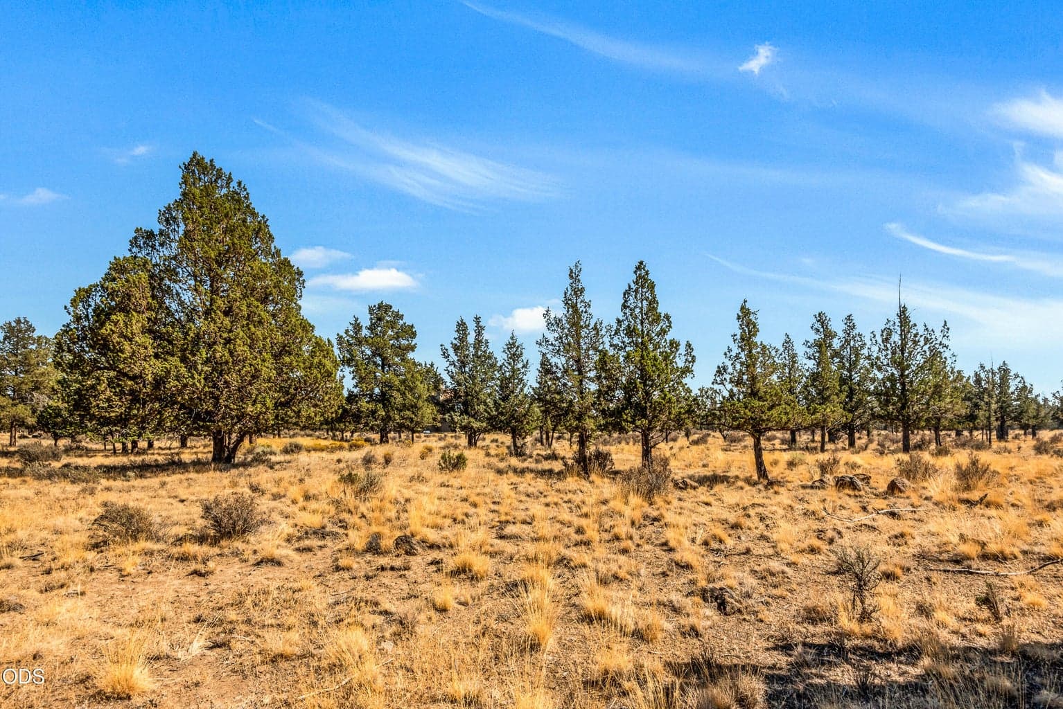 Photo of 18150 Wanona Road 39 of 42