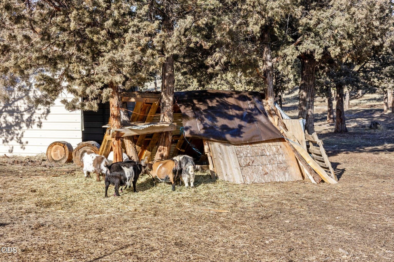 Photo of 3199 SE Maphet Road 40 of 45