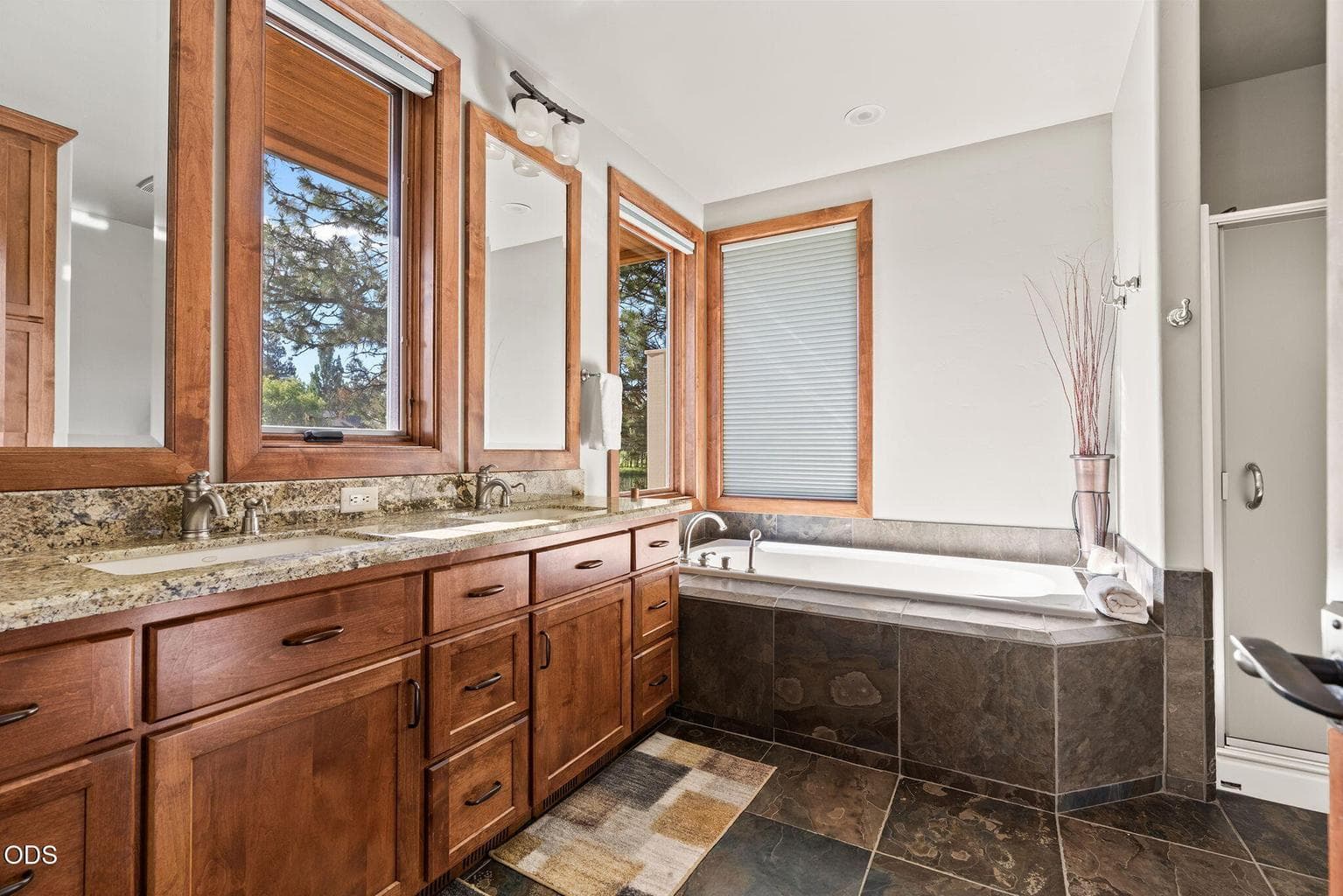 Photo of 56680 Lunar Drive 37 of 56