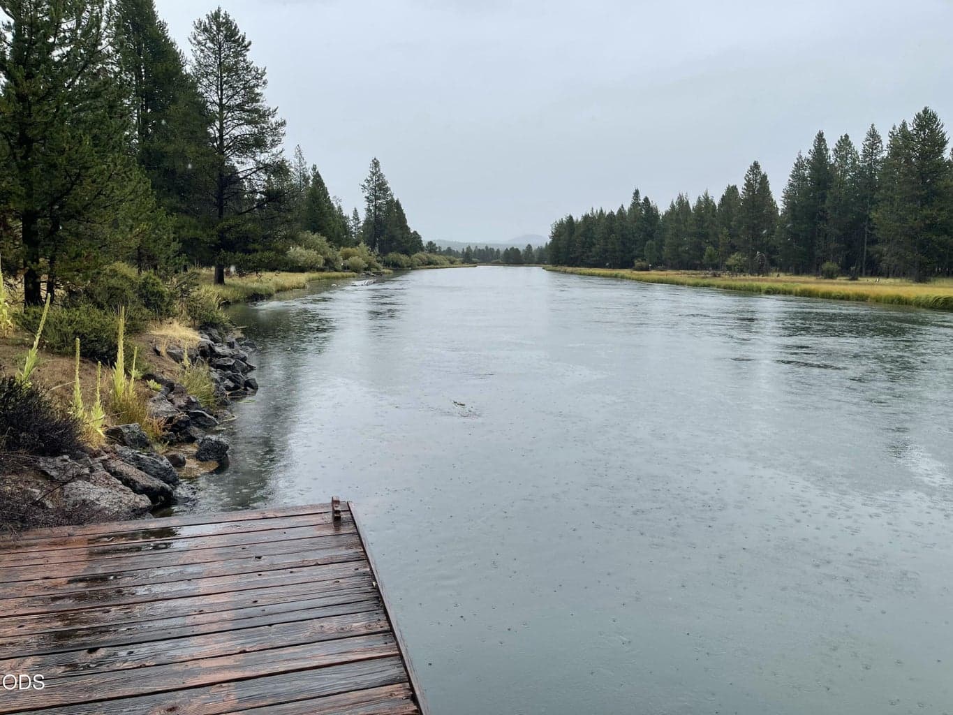 Looking North Downstream