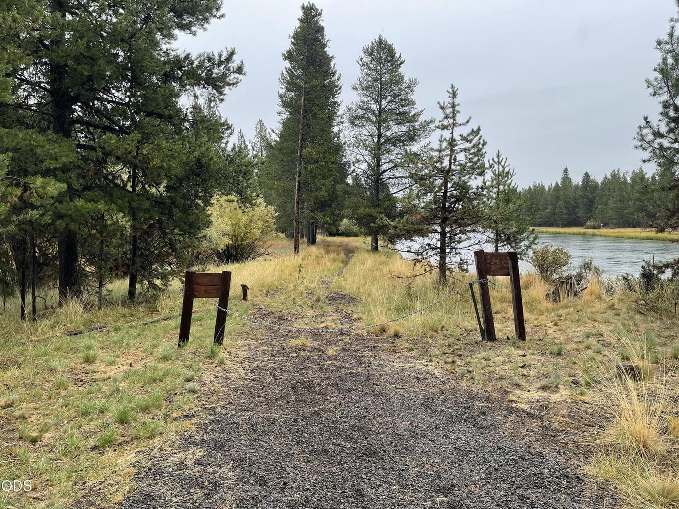 Northern end of property.