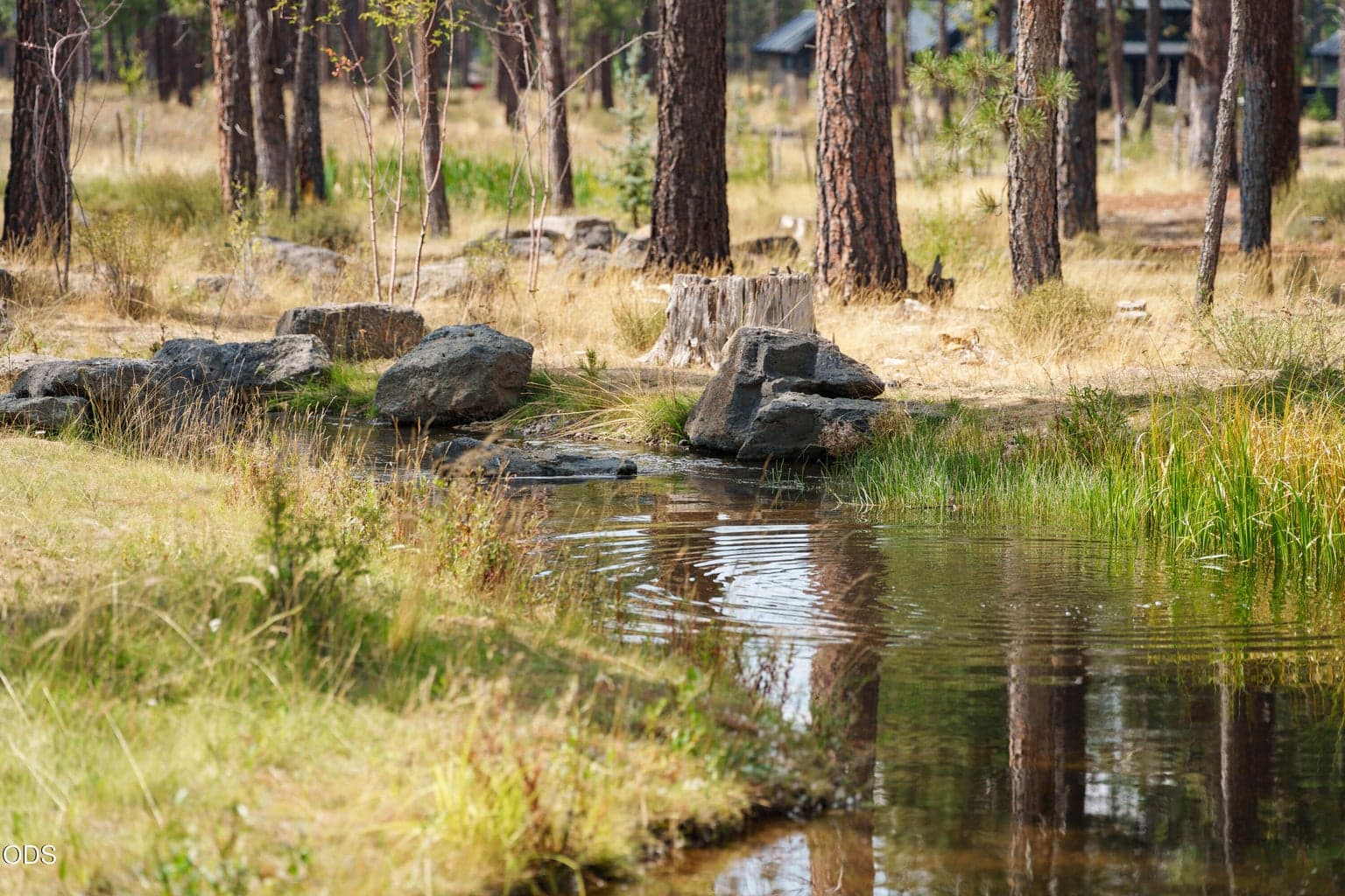 Peaceful stream running through the back of the home.