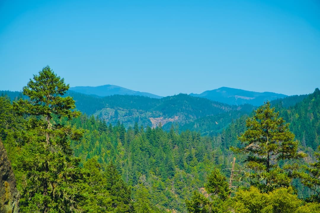 Real estate in Ashland, Central Oregon – scenic area