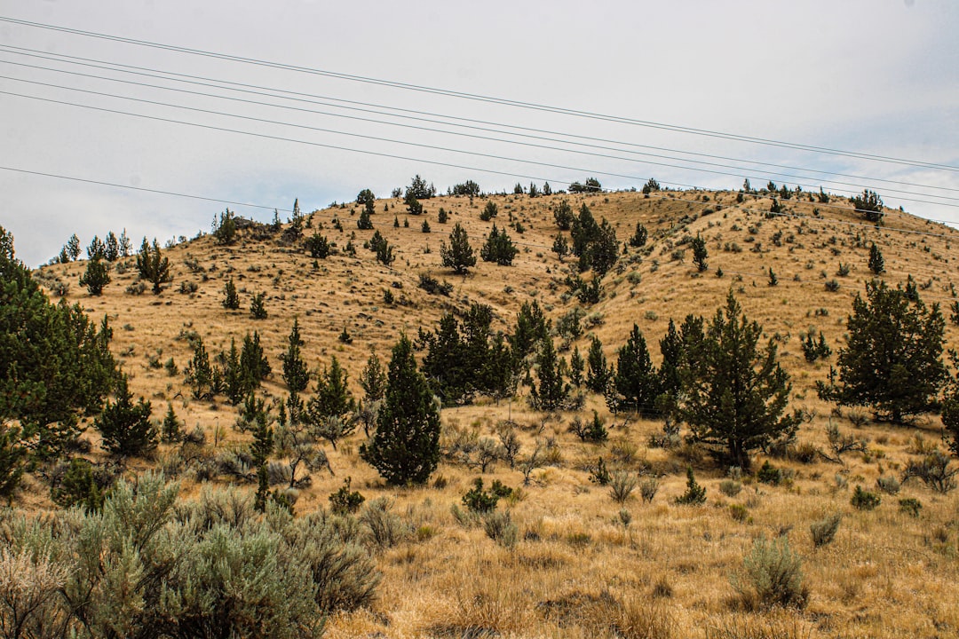 Bend, Oregon — city overview