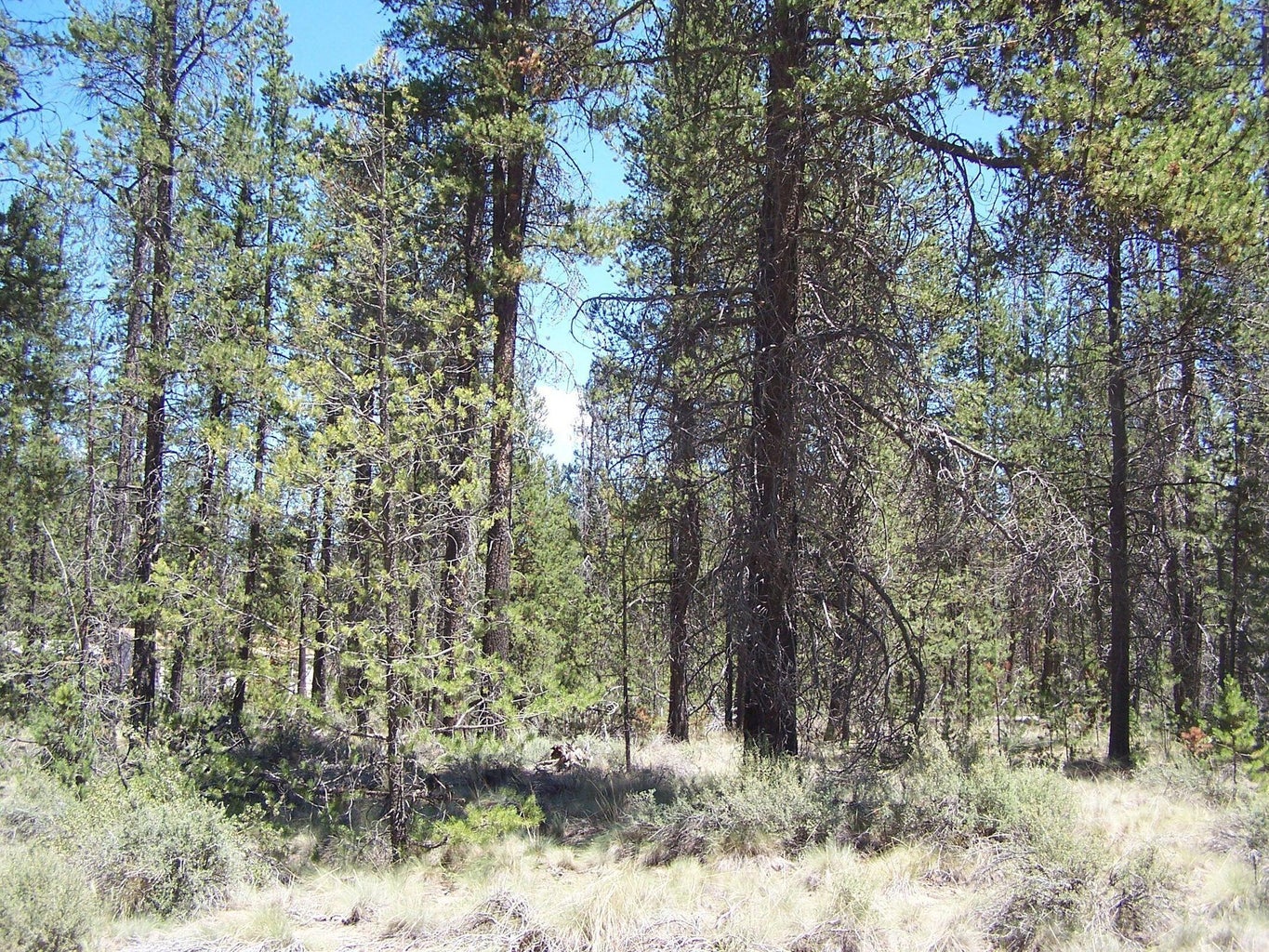 Photo of Skidgel Road 4 of 7