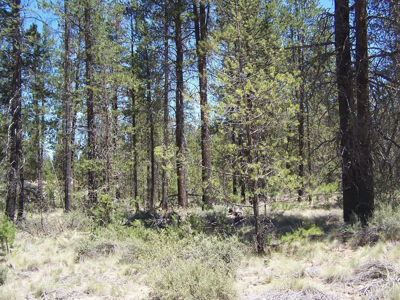 Photo of Skidgel Road 5 of 7